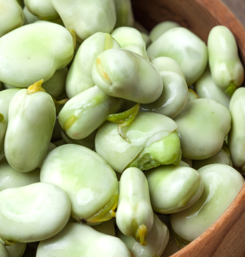 Whole & Split Broad Beans, an agricultural product delivered by harvsetlink from harvest to global markets