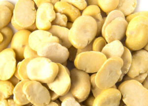 Whole & Split Faba Beans, an agricultural product delivered by harvsetlink from harvest to global markets